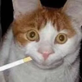 🙂