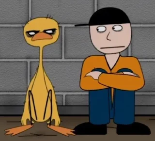 🌟