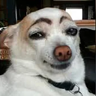 🙂