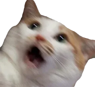 😨