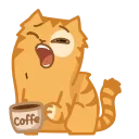 ☕️