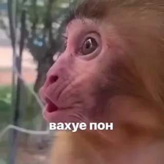 😗
