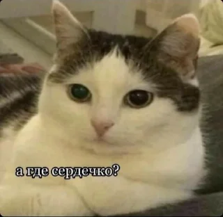 ❔