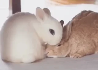 😘
