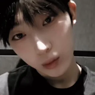 🦊