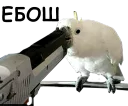 блядские папуги