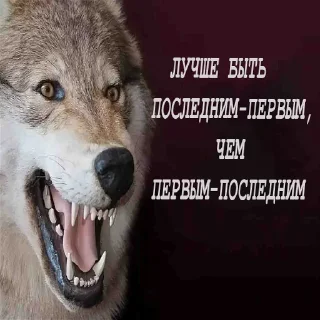 😎