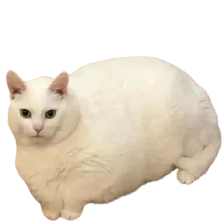 🍞
