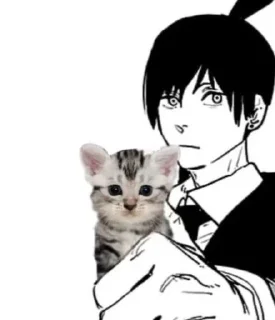 😺
