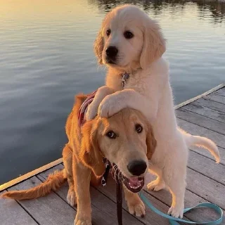 😁