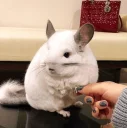 😊