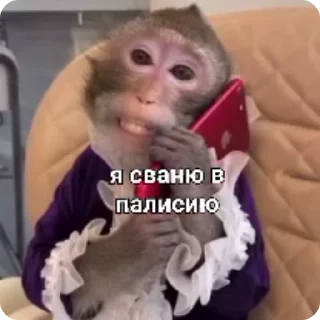 📞