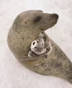 ☺️