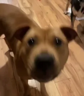 😡
