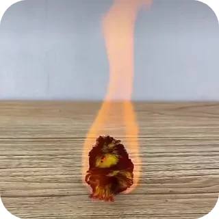 🔥