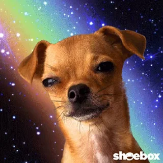 ⚡️