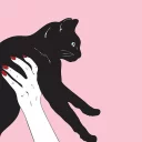 🐈