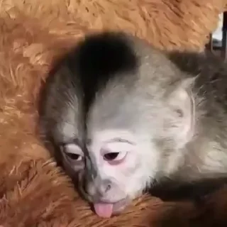 😔
