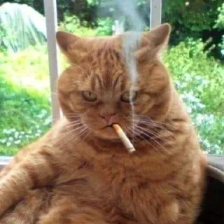 😑