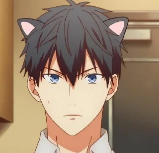 😽