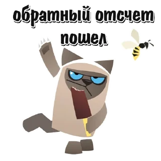 🐱
