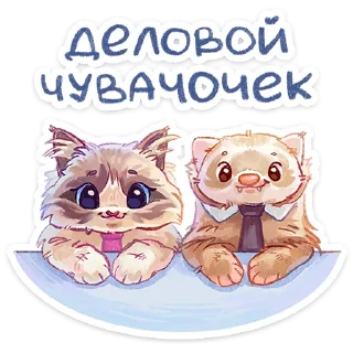 ⭐