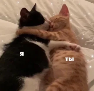 🤗