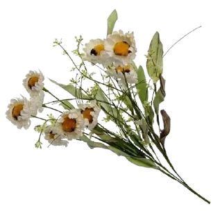 🌼