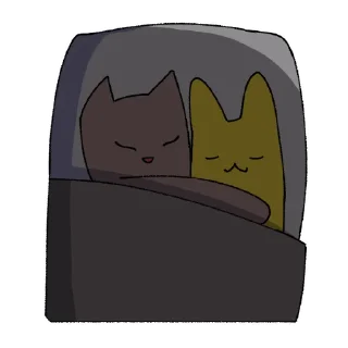 😪