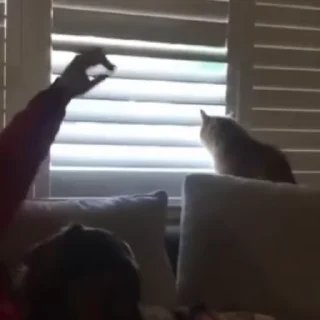 😅