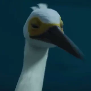😁