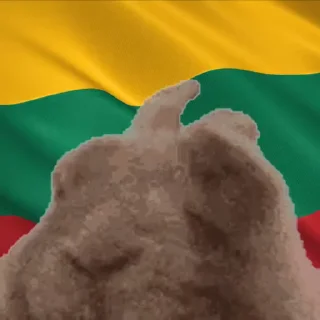 🇱🇹