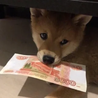 💰