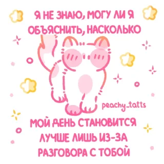 🐱