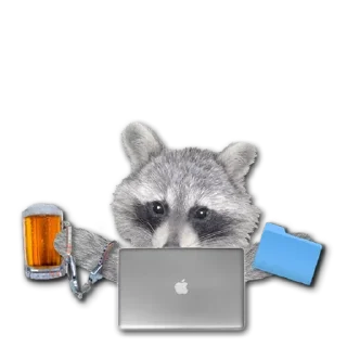 famous racoon @stickersb2b
