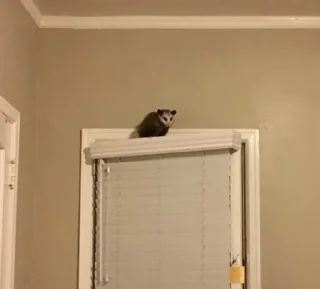 ☹️