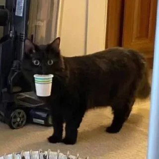 😕