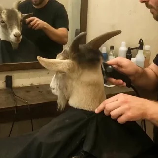 💇‍♂️
