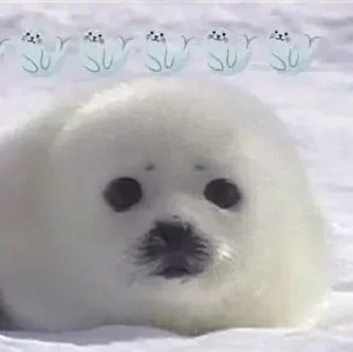 🥺