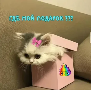 🎁