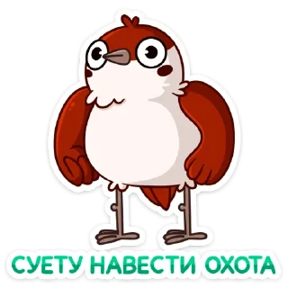 💪