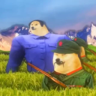 🇨🇳