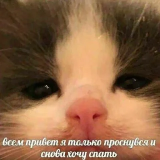 🛌