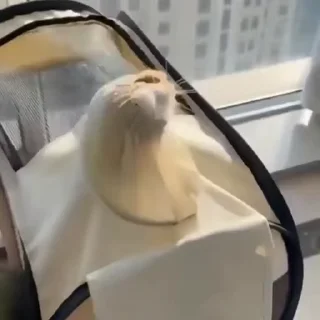 🧶