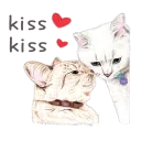 😽
