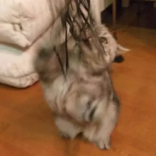😬