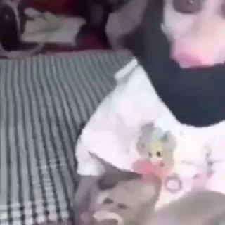 🌟