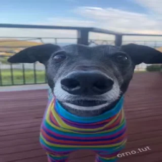 😶