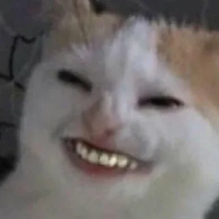 😁