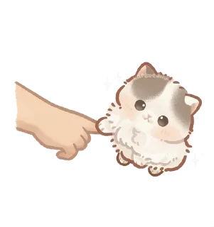 🌟